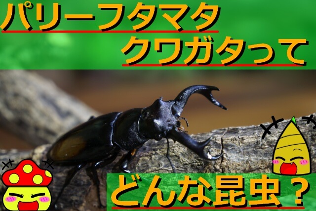 Thumbnail of post image 152